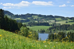 山间湖畔的美丽自然风光