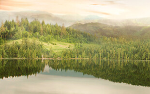 宁静山林中的静谧湖泊