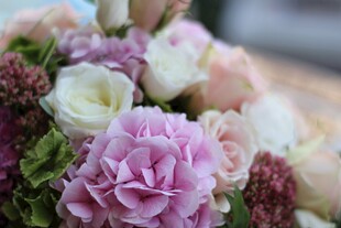 多彩娇艳鲜花特写