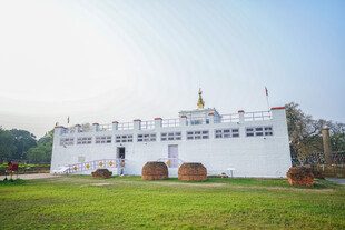 白色建筑前的开阔草地景观