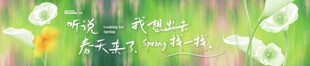 春天春日展板