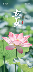 立夏海报