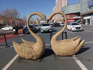 双天鹅造型雕塑于停车场