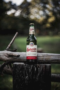 户外木桩上的精致啤酒瓶