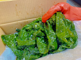新鲜绿色蔬菜装于盒中