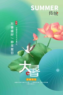 大暑海报 