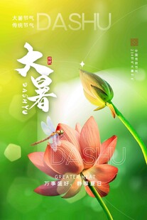 大暑海报 