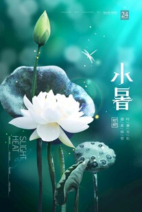 大暑海报 