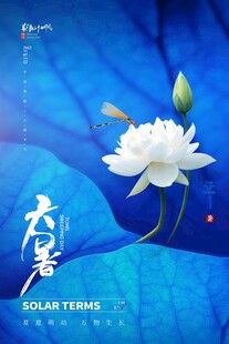 大暑海报 