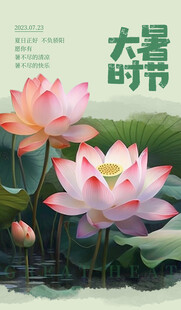 大暑海报 