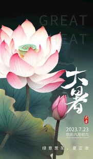 大暑海报 