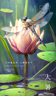 大暑海报 
