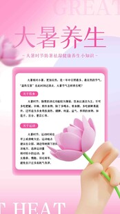 大暑海报