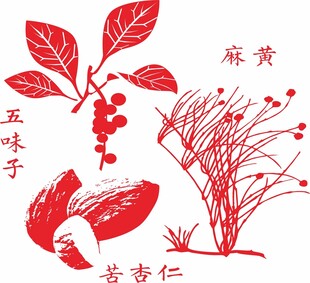 传统中药材图示