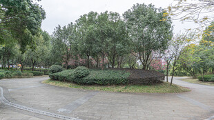 城市中静谧的绿化景观