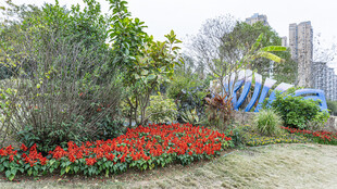 花园繁花绿植景观一角