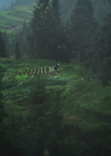 山间绿野中的劳作场景