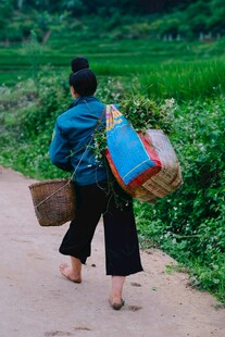 乡村妇女背篮走在田间小道