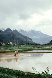 乡村水田风景图