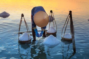 海上实验装置