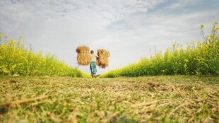 田野中牵手漫步的可爱孩童