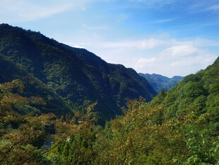 青山葱茏的壮美山谷景色