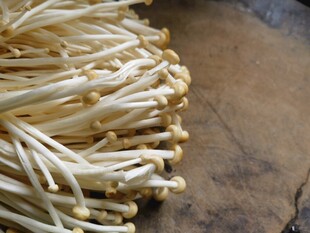 新鲜金针菇特写