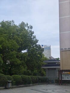 城市中绿树环绕的建筑