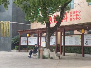 街边公交站台场景