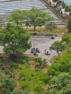 园区内绿树环绕的停车场景