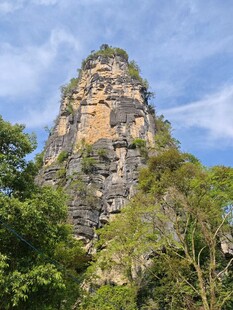 巍峨山峰隐于葱郁林间
