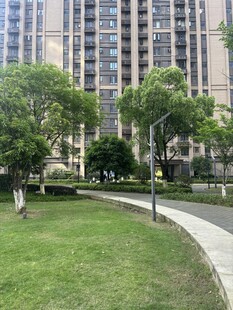 城市中绿意盎然的休闲区域