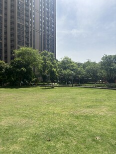城市中绿地与高楼景观