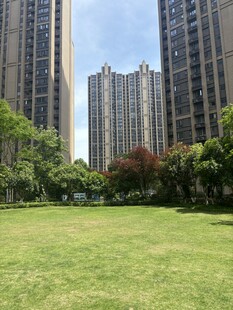 城市中绿意盎然的草坪景观