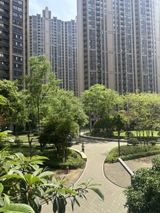 城市中绿意盎然的住宅小区