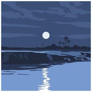 月夜下的静谧海边景色