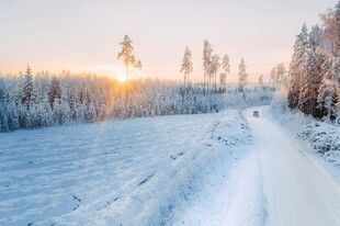冬日雪路阳光洒向树林