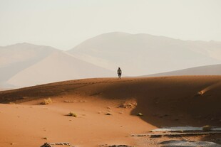 沙漠孤影广袤天地间