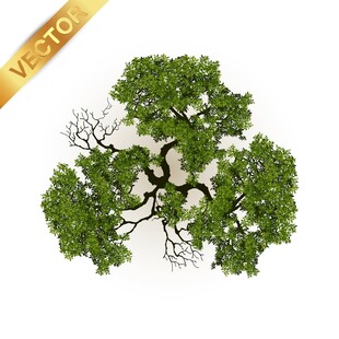 三维立体绿树模型