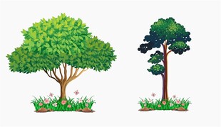 两棵风格各异的卡通树木