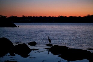 夕阳下的静谧湖岸风光