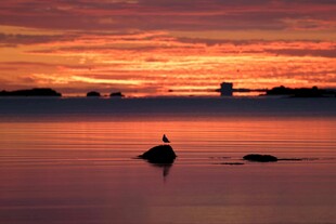 夕阳下湖面的孤独身影