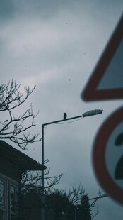 沉天色下的街景标识