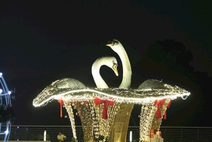 夜间天鹅造型灯光装饰