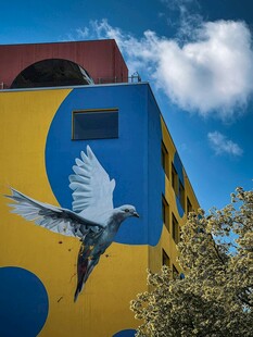 飞鸟掠过多彩建筑