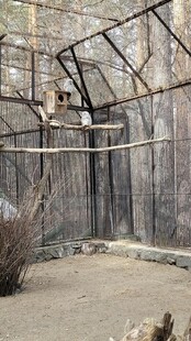 户外金属框架搭建场景