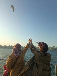 两人海边欢乐喂飞鸟