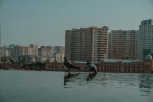 城市水域中的雕塑景观