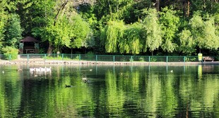宁静湖畔的自然倒影美景