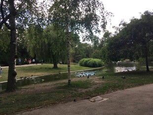 公园绿意盎然的休闲场景